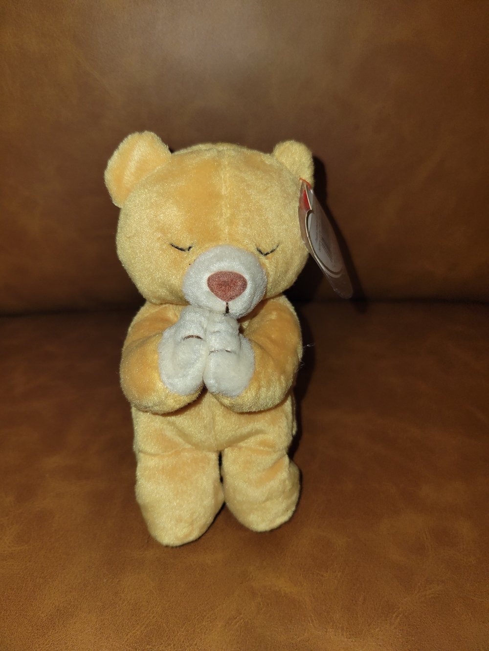 TY Beanie Babies Collection